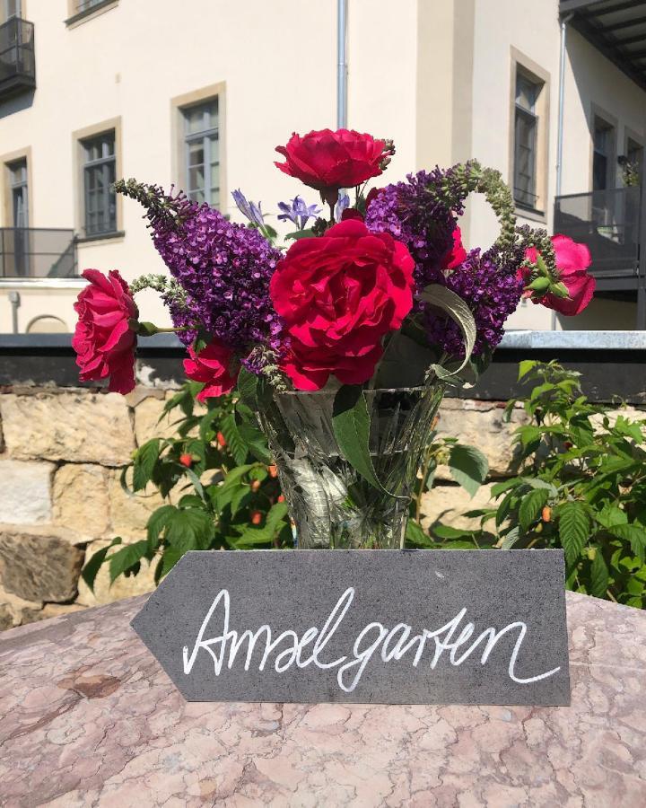Amselgarten Pirna Dış mekan fotoğraf